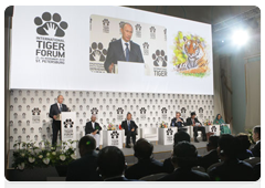 Vladimir Putin at the International Tiger Conservation Forum