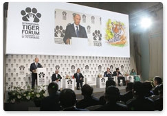 Владимир Путин принял участие в работе проходящего в Санкт-Петербурге Международного форума по проблемам, связанным с сохранением тигра на Земле
