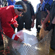 Перед приездом Владимира Путина группа рыбаков держала белуху в специальной сети