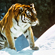 The programme to research the Amur tiger in Russia’s Far East is an independent project which is carried out as part of the research being done by the expedition of the Russian Academy of Sciences on animals that have been placed on the Russian Federation’s Red List of Threatened Species and other particularly important species of animals in Russia