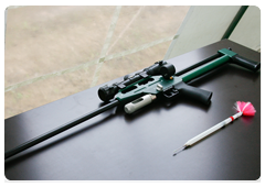 An air rifle loaded with a tranquilliser. The dose of tranquilliser, which depends on the animal’s weight, puts the animal to sleep in just a few minutes