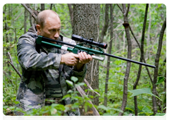 Владимир Путин стреляет снотворным из карабина в тигрицу, которой удалось вырваться из стальной петли. Шприц попадает прямо в зверя