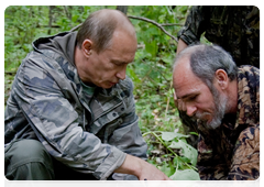 Владимир Путин вместе с учеными застегивает на шее тигрицы спутниковый ошейник. Теперь вся информация о ее местонахождении будет поступать на компьютер исследователей в режиме реального времени