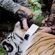 Vladimir Putin and the researchers fastening a satellite-tracked GPS collar around the tigress’ neck. From now on, all information about the animal’s position will be transmitted to the researchers’ computer in real time