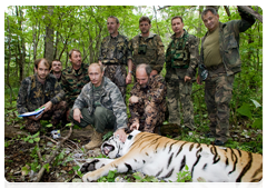Владимир Путин и Сергей Шойгу вместе с группой ученых фотографируются с тигрицей на память