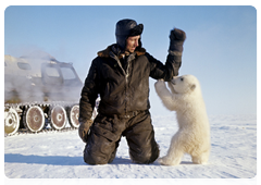 Since 1976, polar bear hunting has been completely prohibited, except subsistence hunting which is traditionally important for the indigenous population of the Arctic