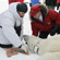 Vladimir Putin and the researchers attach a satellite-tracked GPS collar on a polar bear which has been caught in a special bear trap