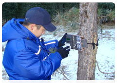 Фотоловушки - это камеры дистанционного наблюдения. Они устанавливаются в местах возможного появления ирбисов