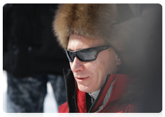 Владимир Путин по пути на Сахалин побывал в Хакасии, где познакомился с программой изучения снежного барса – и с самим хищником