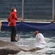 White whale training at Moscow Zoo