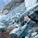New images of snow leopard Mongol caught on camera