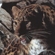 According to the most optimistic estimates, the world’s Far Eastern leopard population is 40, with 30 leopards presumably dwelling in the Primprye Territory, and the remaining ten in China