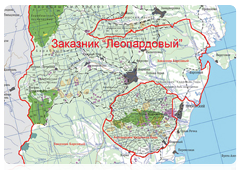 Leopard Wildlife Preserve was set up in 2008. It incorporated two old preserves, Barsovy and Borisovskoye Plato, with the grounds totaling more than 169,000 hectares