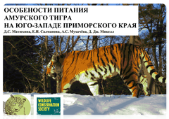 Особенности питания амурского тигра на юго-западе Приморского края. Презентация