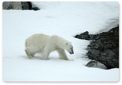 Sergei Donskoi addresses International Forum on Conservation of Polar Bears