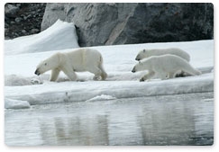 Declaration for polar bear protection signed