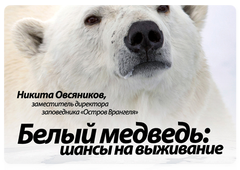 На лекции Н.Овсяникова «Белый медведь: шансы на выживание»