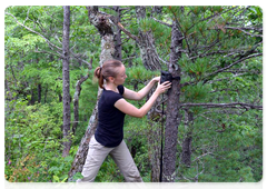Dina Matyukhina setting a trail camera