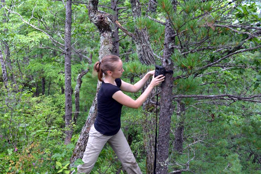 Dina Matyukhina setting a trail camera.