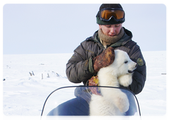 Helicopter pilots save polar bear cub
