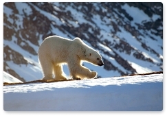 Дарвиновский музей представит редкие кадры арктических красот
