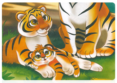 Mama Tiger, Papa Tiger and their young cub