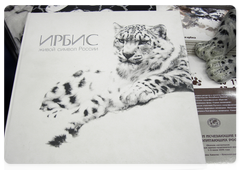 The Snow Leopard: Russia’s Living Symbol
