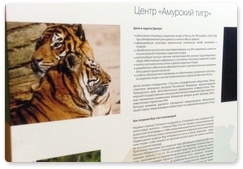 Amur Tiger Centre takes part in the RGS Festival