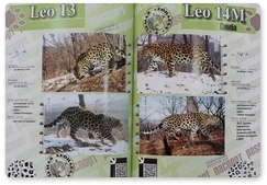 Far Eastern Leopard atlas released