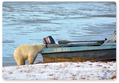 Safety issues on the land of the polar bear
