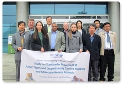 Expert meeting on studying and preserving the Far Eastern leopard in South Korea