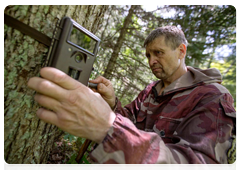 Nature reserve staff member Nikolai installed two additional cameras