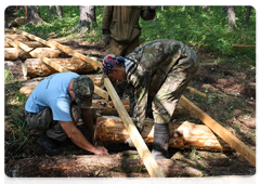 Logs are carefully laid under the path’s boards to avoid injury