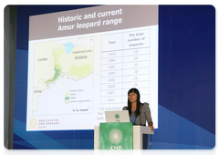 Leopard Land employee Yulia Burkova gives a talk at a Chinese environmental forum