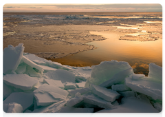Голарктика – биогеографический регион, охватывающий большую часть Северного полушария. Крупнейший из всех биогеографических регионов.