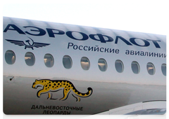 Aeroflot airliner features Far Eastern leopard image
