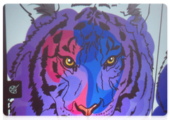 Tiger graffiti