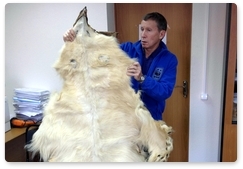 Polar Bear Patrol’s work yields result