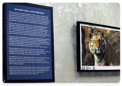 An information display about the work of the Amur Tiger Centre