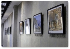 В галерее МФЮА открылась фотовыставка центра «Амурский тигр»