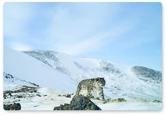 В нацпарке «Сайлюгемский» получены первые снимки снежного барса