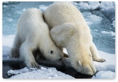 «Кара-зима – 2015» стала самой масштабной арктической экспедицией в мире за последние 20 лет