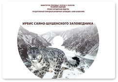 Snow leopard film wins special prize of the Russian Geographical Society