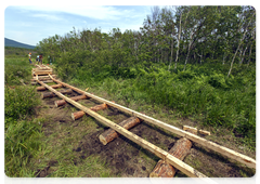An additional 150 m of wooden planks was installed on the Mys Severny eco trail