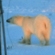Белый медведь на метеоплощадке полярной станции на острове Вайгач