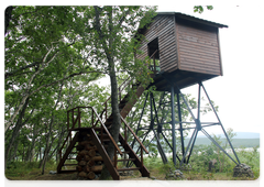 A watch tower built by students on the Lake Blagodatnoye eco-trail