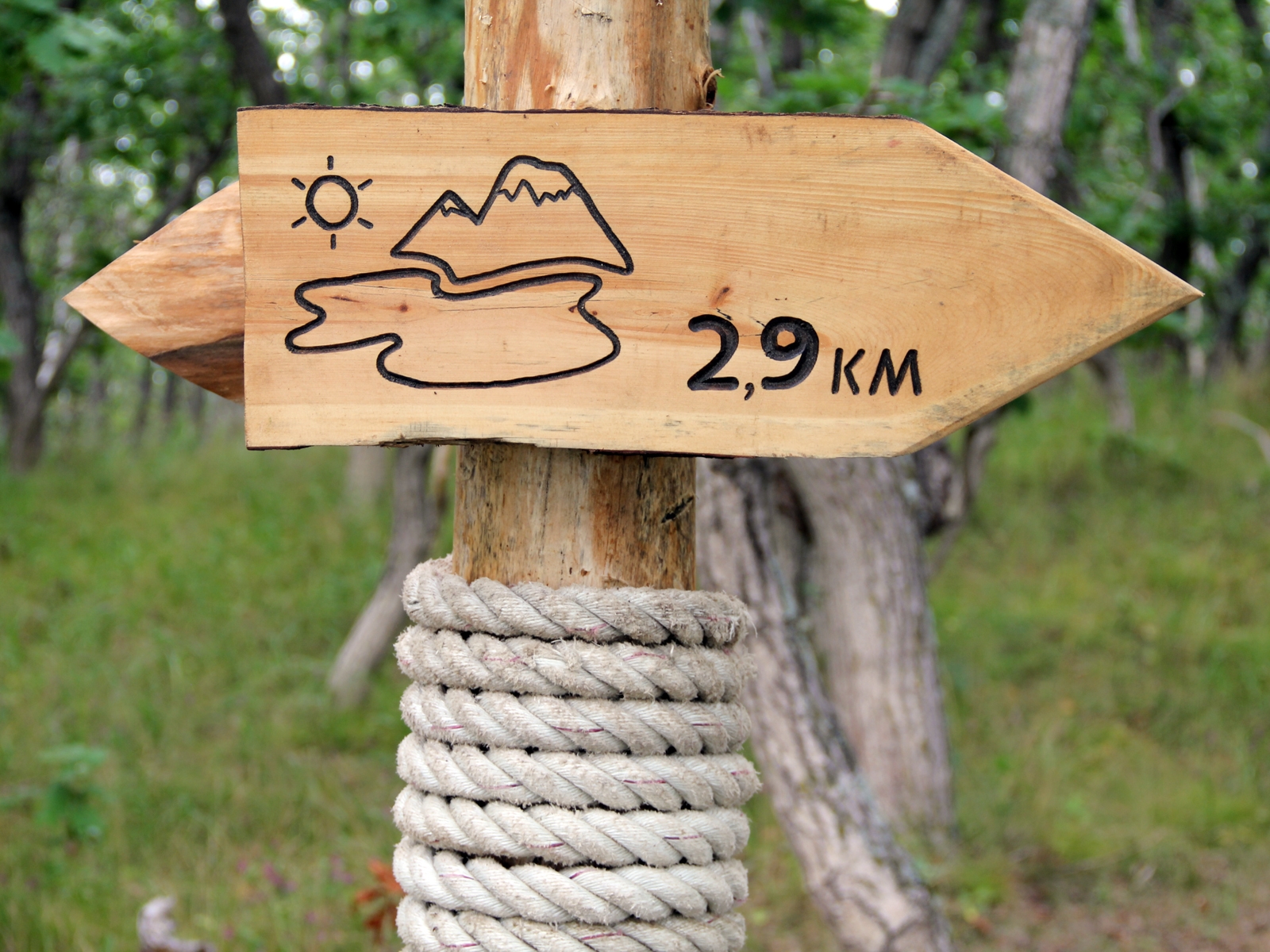 ПРОГРАММА «АМУРСКИЙ ТИГР»