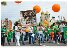 Amur Tiger Day in Vladivostok