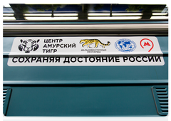 Striped Express is a joint project of the Russian Geographical Society, the Amur Tiger Centre and the autonomous non-profit organisation Far Eastern Leopards