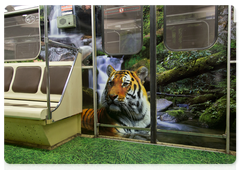 The train is decorated with photos of Far Eastern flora and fauna